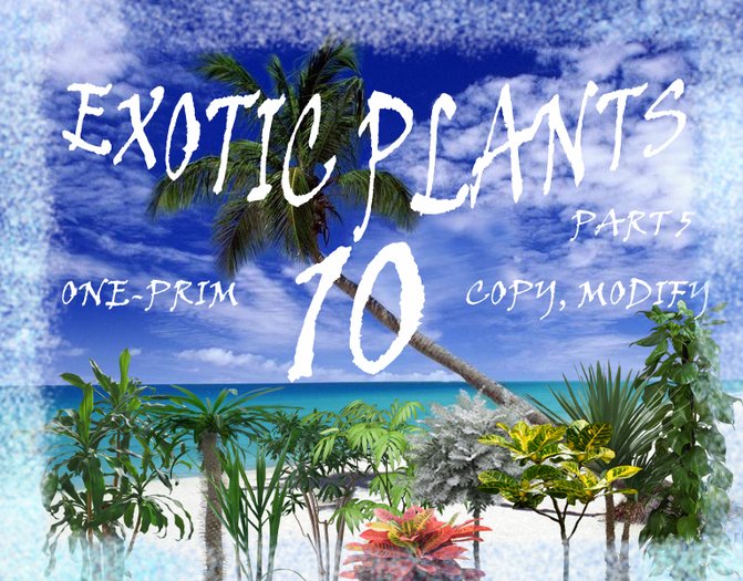 Exotic plants part 5