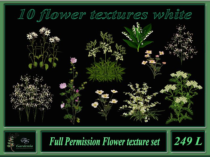 10 flower textures white