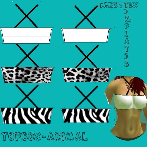 CandyTex Topbox-animal