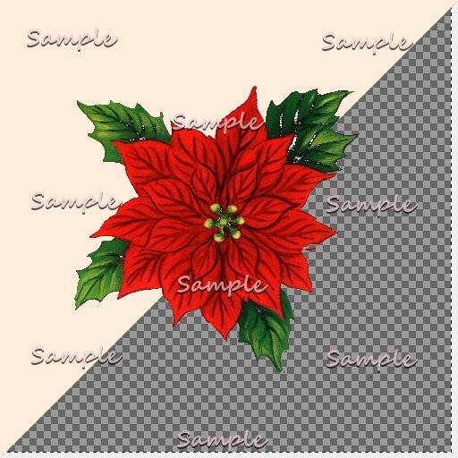 pointetia flower texture TGA FULL PERMS