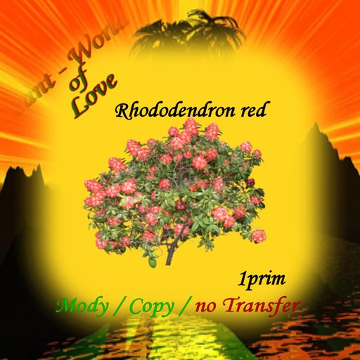 Rhododendron red