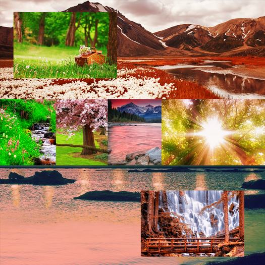 Romance and Nature Photo Background Textures