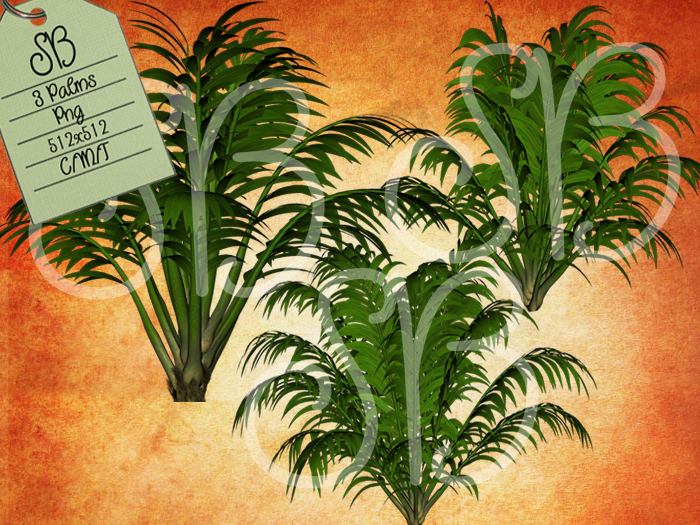 SB PALM TEXTURES