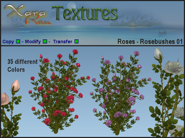 XR Textures - Flowers - Roses - Rosebushes 01