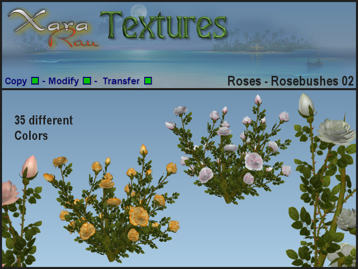 XR Textures - Flowers - Roses - Rosebushes 02