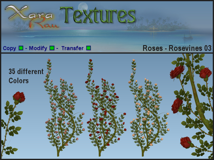 XR Textures - Flowers - Roses - Rosevines 03