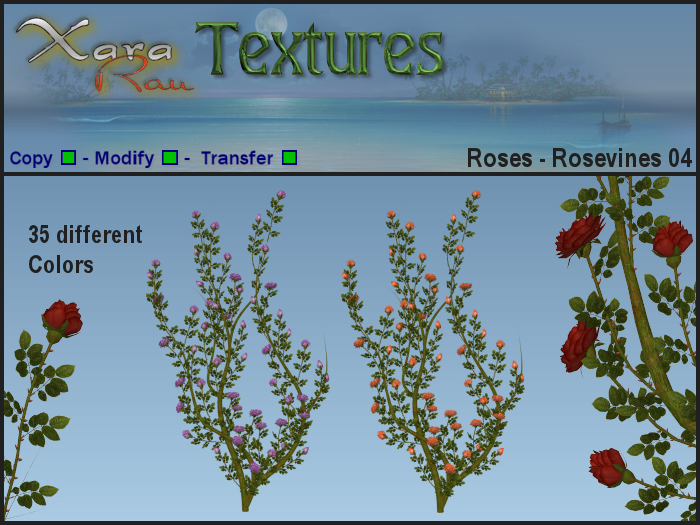 XR Textures - Flowers - Roses - Rosevines 04