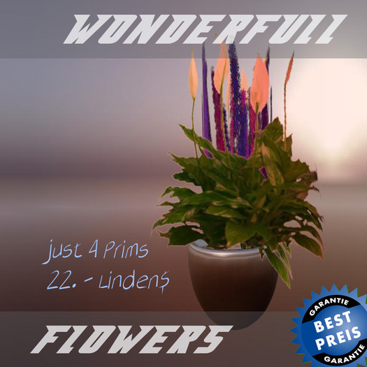 wonderfull SF flower 01.01