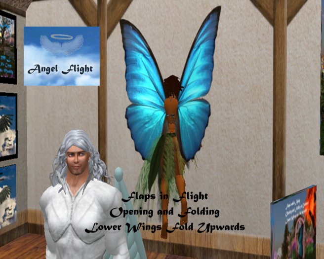 Angel's Flight Marika Blue - Large