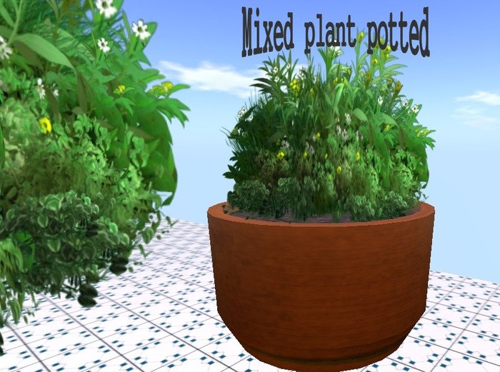 Bunch with flowers potted