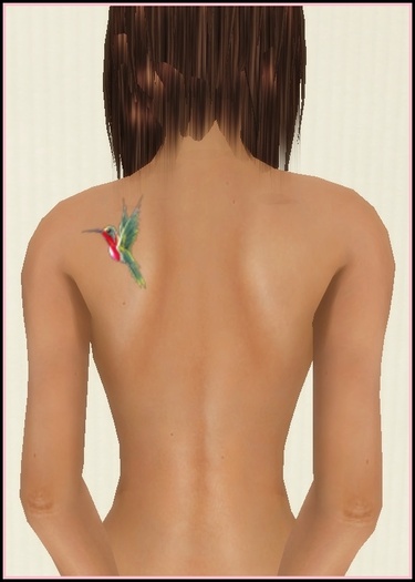 Humming Bird Tattoo