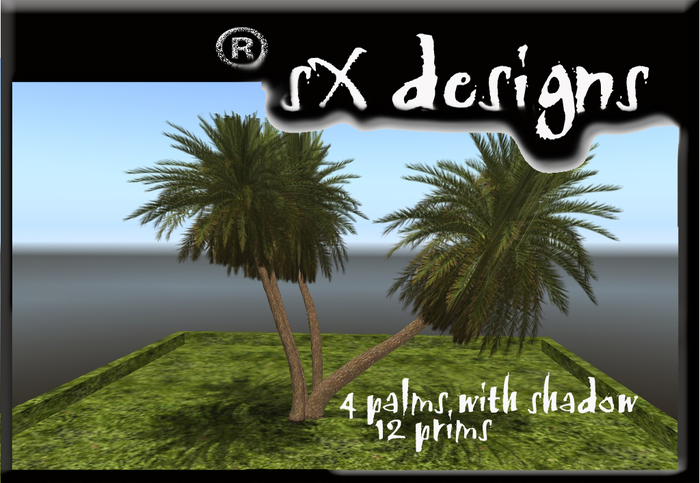 4 palm-shaded/ 4 palmeras con sombra