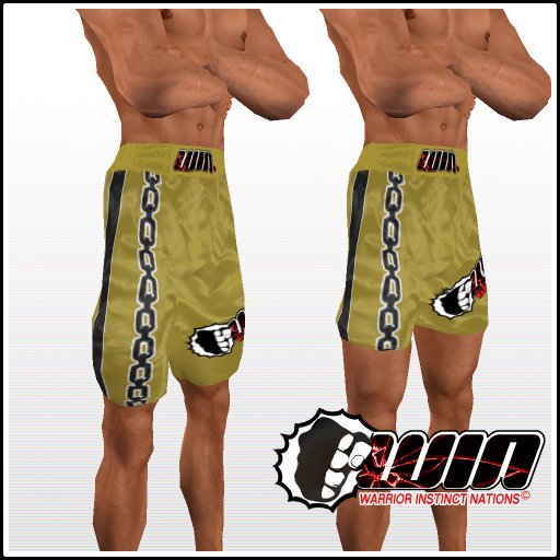 WIN Gold Chain Trunks