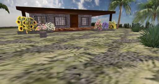 rainforest cabin box