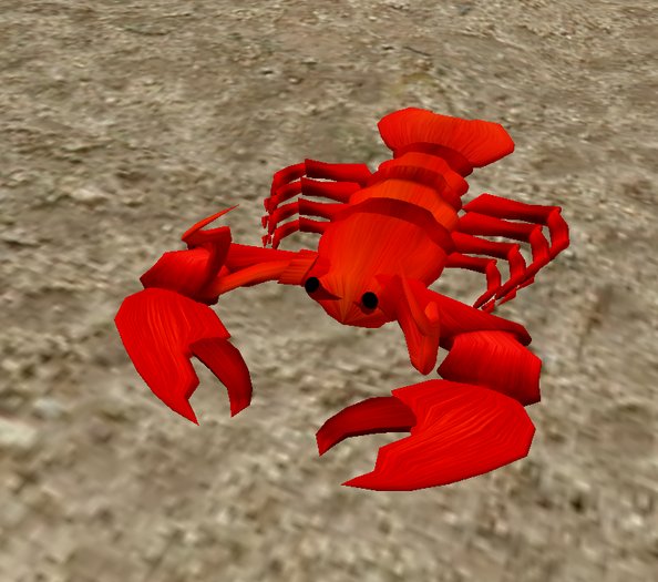 Lobster by Rita Munro 