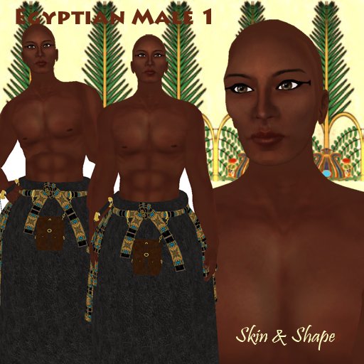 Egyptian Male 1