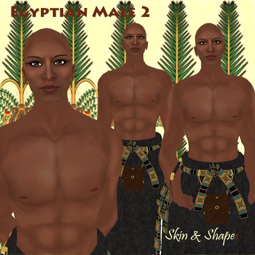 Egyptian Male  2
