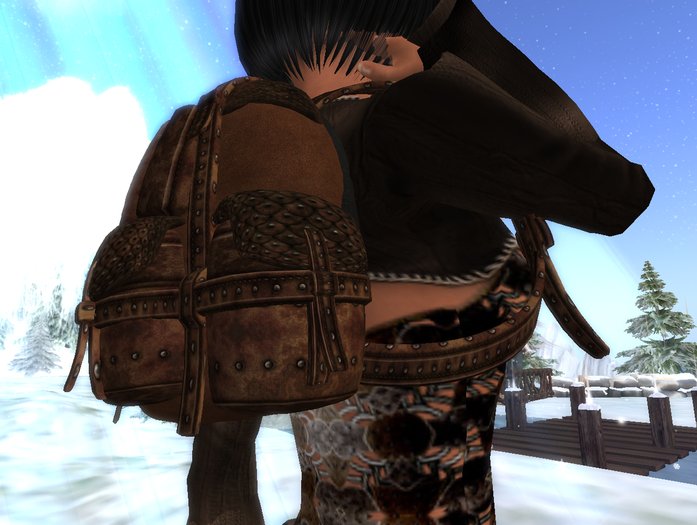 CM Backpack/ Rucksack Brown Leather Female BOX