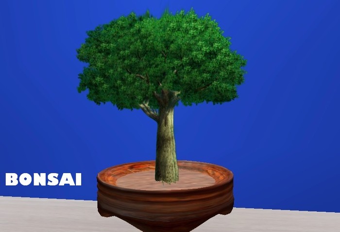 Bonsai