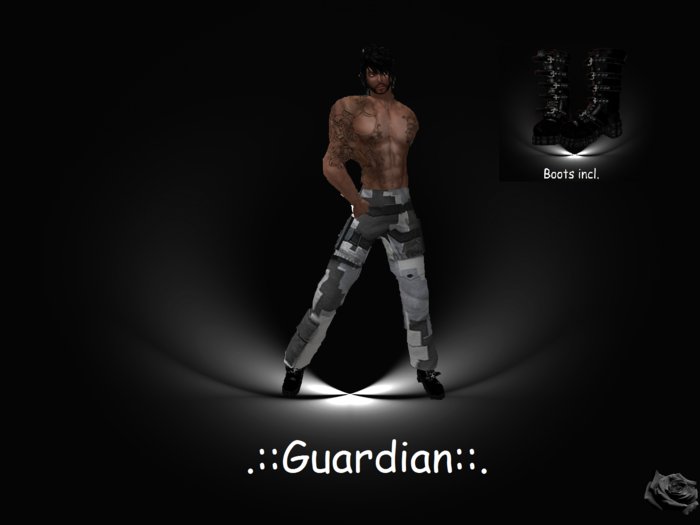 .::Guardian::. - Reseller Version