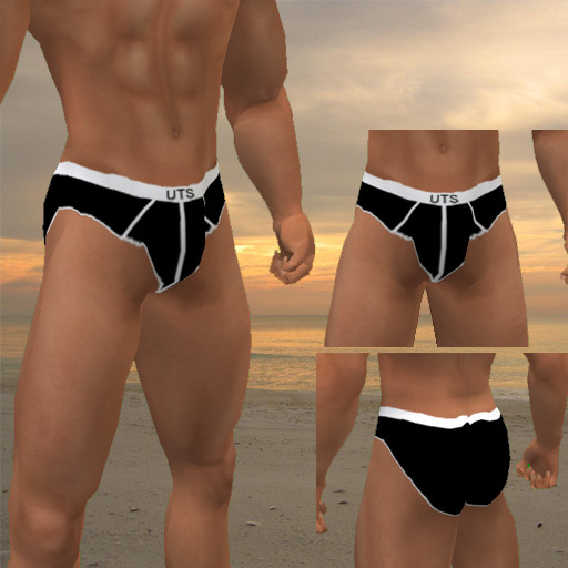 UTS Essential Briefs Black