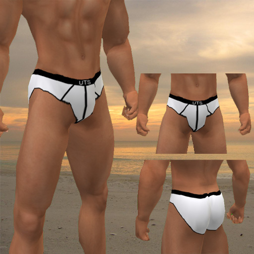 UTS Essential Briefs White
