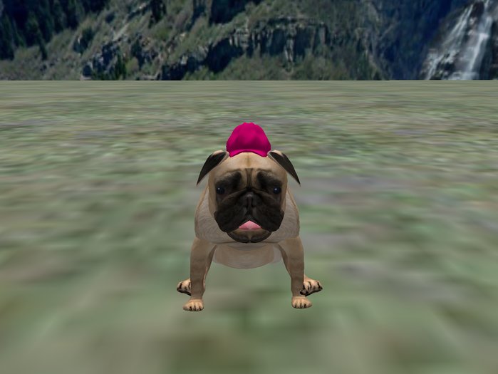BB Lab Baseball hat pug-hot pink