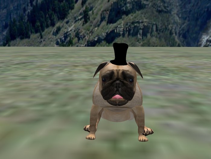 BB Pug top hat- black