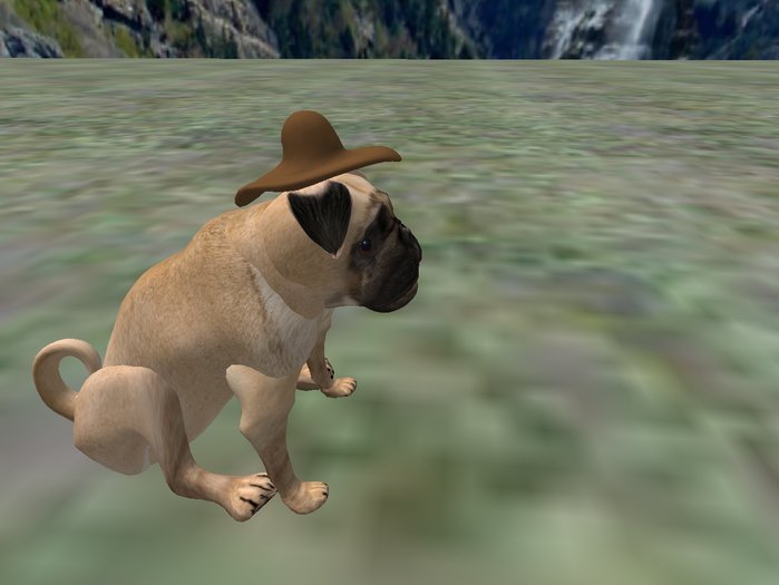 BB Lab cowboy hat PUG-tan
