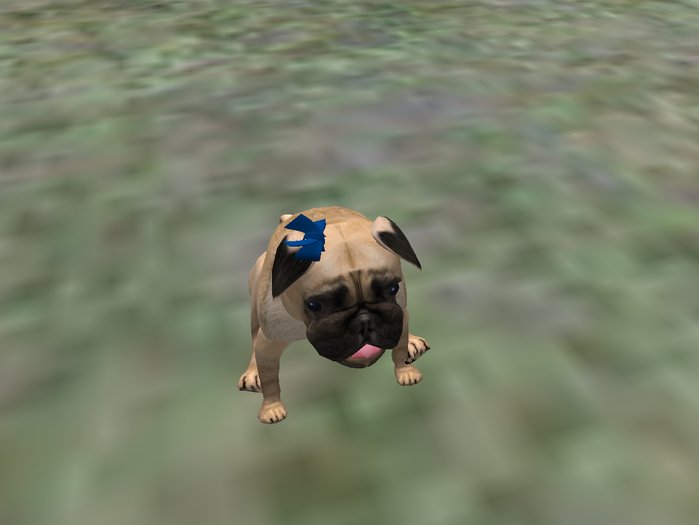 BB Lab ear bow PUG- navy