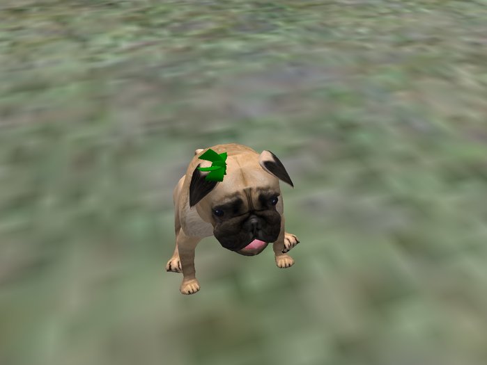 BB Lab ear bow PUG- green