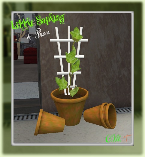 Little Sapling Plant only 4 prim