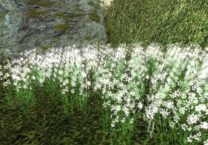 PETITE WHITE FLOWERS *OTM*