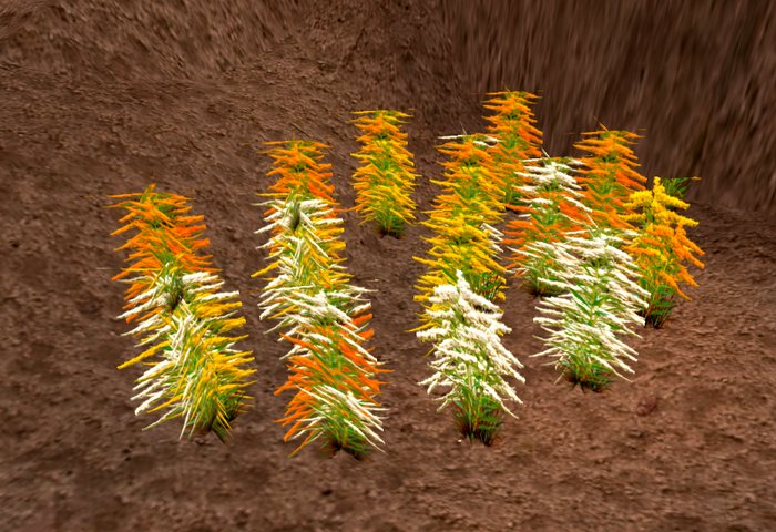 Orange Plants by Rita Munro