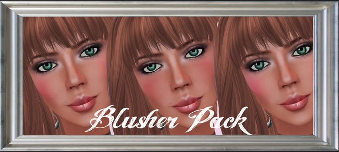 !Silken Moon Signature Blusher