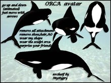 ORCA avatar just wear shape + sculpt (go up + down)