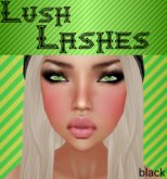 Lush Lashes