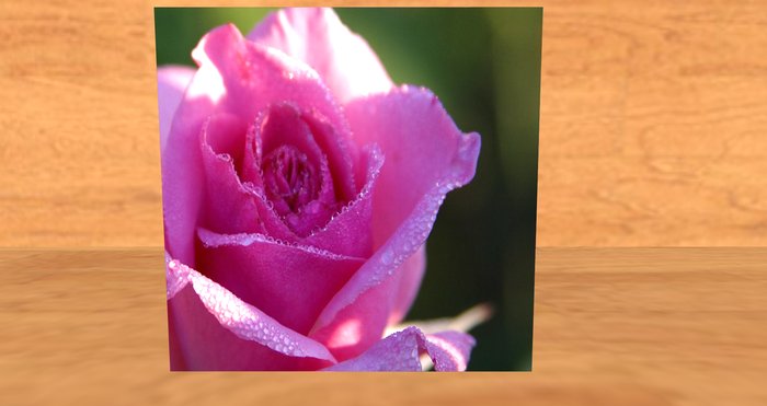 card: DEWY ROSE (I AM SO SORRY FOR YOUR LOSS.)