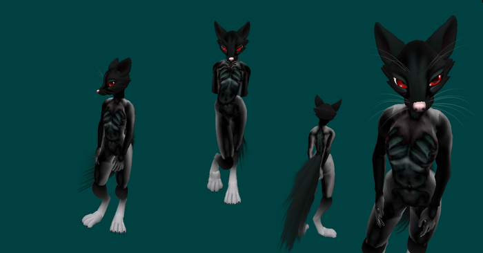 ringtail - Negativo