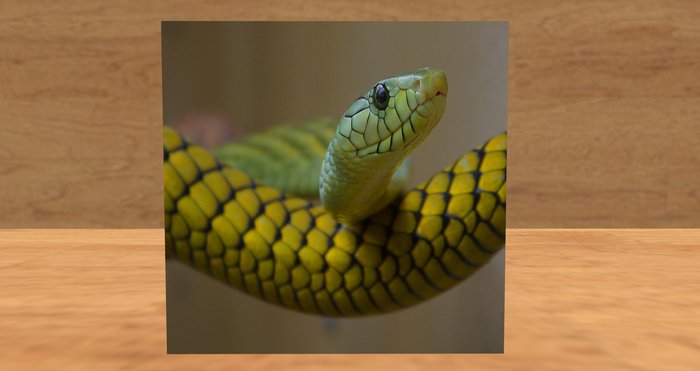 card: SNAKE (THANK YOU SO MUCH!)