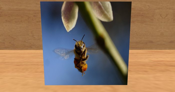 card: bee (LET'S BEE NAUGHTY!)