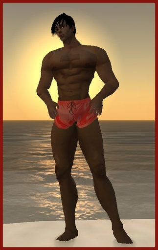 Kohnke Beach Shorts - Red