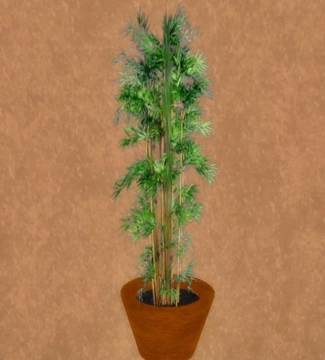 mb-Potted Tree Bamboo-ish