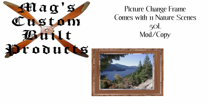 Changing picture frame