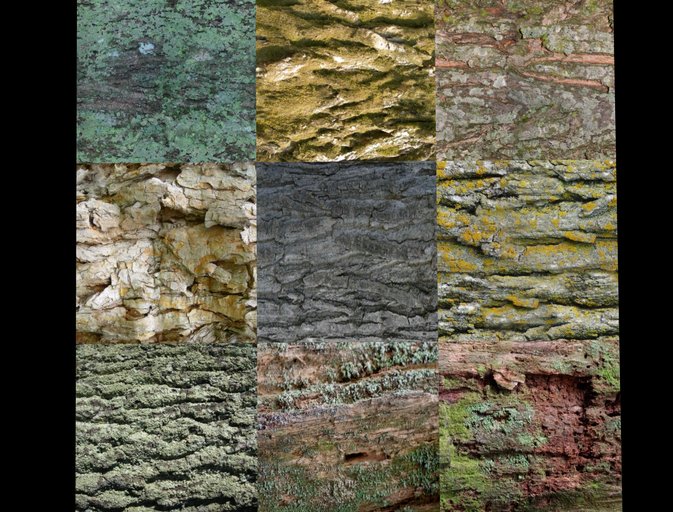 9 Wrinkle bark korm wood textures