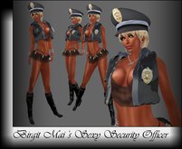 Birgit Mai's Sexy Security Officer (BOXED)