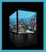 Aquarium%202