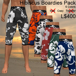 Surface Hibiscus Board Short Pack