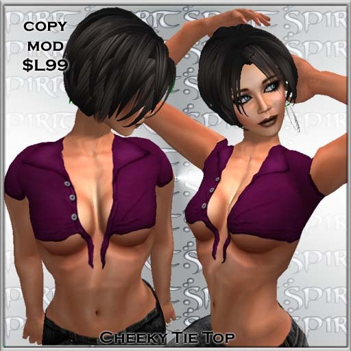 *S* Tie Top Wine Store bag