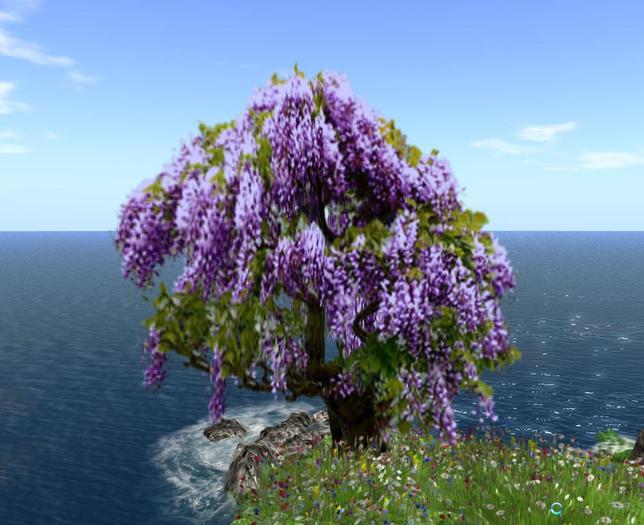 WISTERIA LILAC